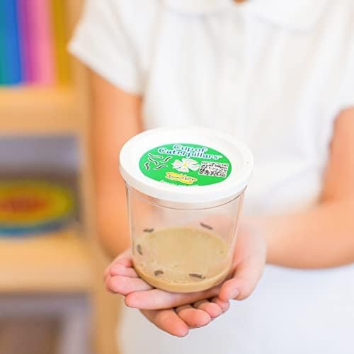 Insect Lore Butterfly Garden Kit, Painted Lady Butterfly Kit with Voucher for Live Caterpillars, Butterfly Habitat, STEM Journal & More