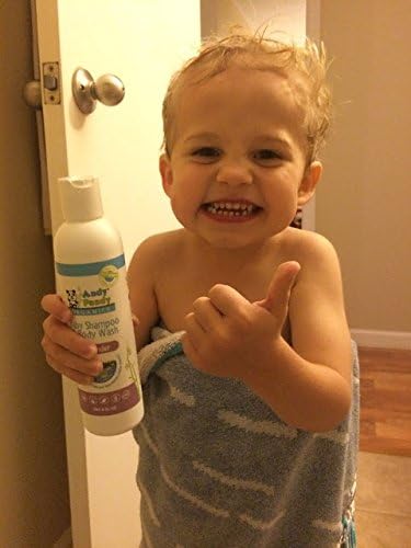 Hansen Kids Andy Pandy Organics 100% Natural & Organic Baby (8 fl
