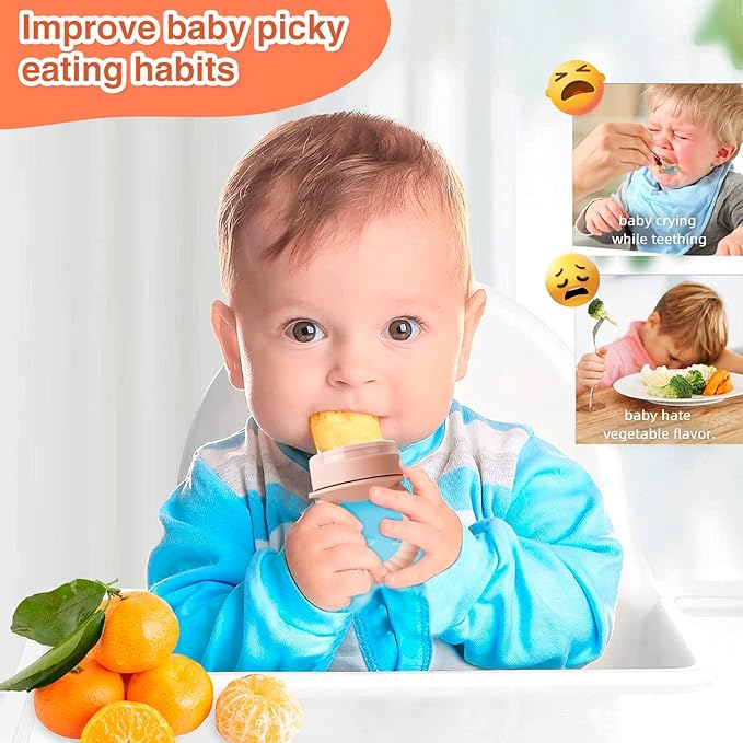Baby Solids/Frozen Fruit Feeder Pacifier, Infant Teether Toy 4M+ 2-Pack (Ring