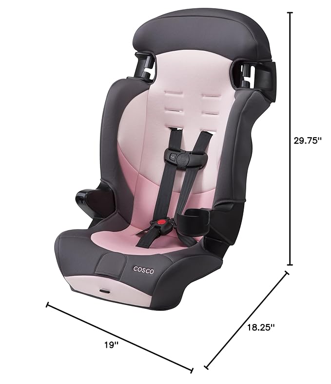 Cosco Kids Finale DX 2-in-1 Booster Car Seat, Forward Facing Toddler Car Seat (30-65 lbs) and Belt Positioning High Back Booster Seat (40-100 lbs), Sweetberry