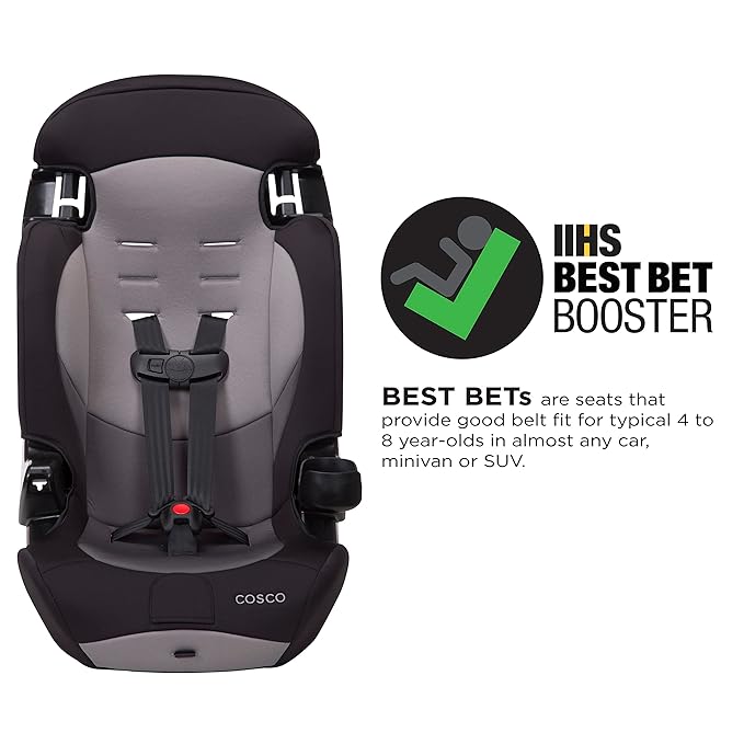 Cosco Kids Finale DX 2-in-1 Booster Car Seat, Forward Facing Toddler Car Seat (30-65 lbs) and Belt Positioning High Back Booster Seat (40-100 lbs), Rainbow