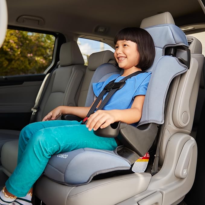 Cosco Kids Finale DX 2-in-1 Booster Car Seat, Forward Facing Toddler Car Seat (30-65 lbs) and Belt Positioning High Back Booster Seat (40-100 lbs), Organic Waves