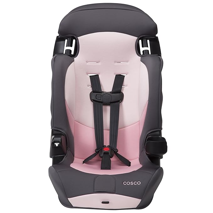 Cosco Kids Finale DX 2-in-1 Booster Car Seat, Forward Facing Toddler Car Seat (30-65 lbs) and Belt Positioning High Back Booster Seat (40-100 lbs), Sweetberry