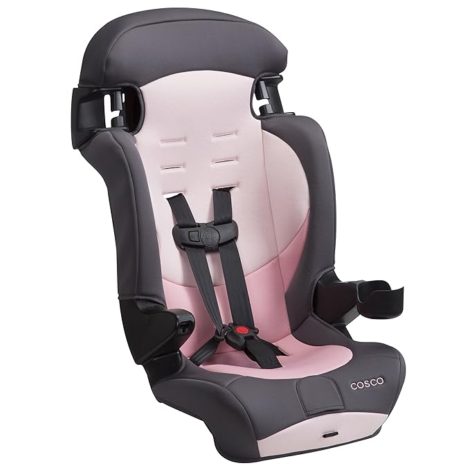 Cosco Kids Finale DX 2-in-1 Booster Car Seat, Forward Facing Toddler Car Seat (30-65 lbs) and Belt Positioning High Back Booster Seat (40-100 lbs), Sweetberry