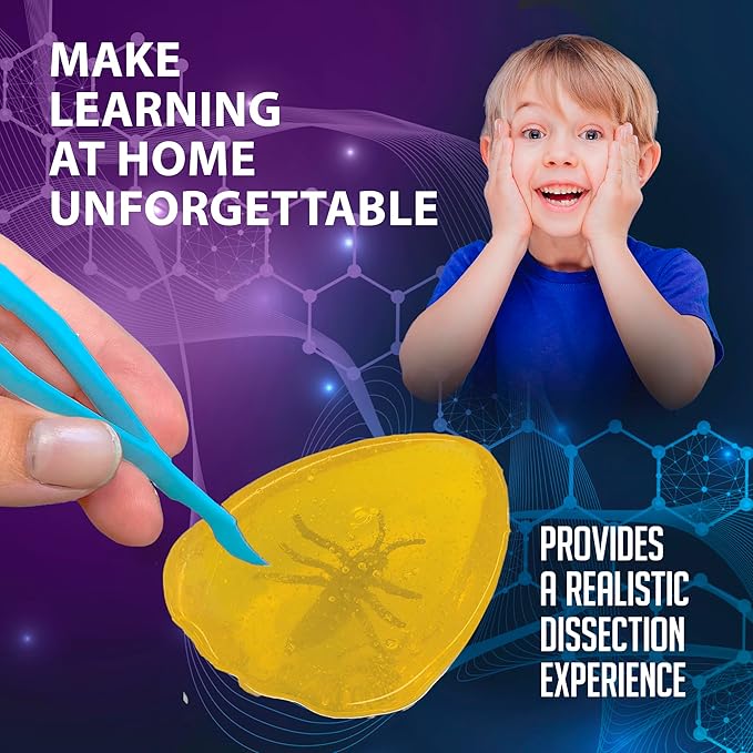 Top Secret Toys Discover-It Dissection Kit for Kids, Synthetic Amber Science Lab Kit to Learn About Insects, Science Toys for Kids Ages 5 and Above