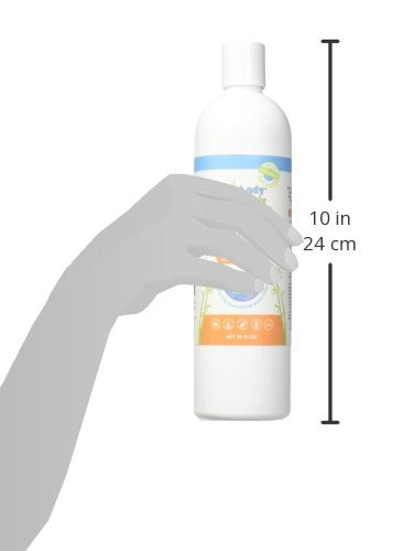 Andy Pandy Organics 100% Natural & Organic Baby Body Wash & Shampoo, Sweet Orange unscented 16 Fl