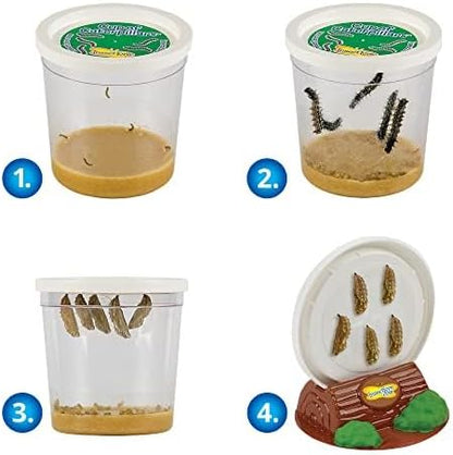 Insect Lore Butterfly Garden Kit, Painted Lady Butterfly Kit with Voucher for Live Caterpillars, Butterfly Habitat, STEM Journal & More