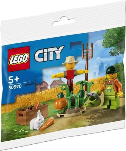 LEGO City Farm Combo Pack: Farm Garden and Scarecrow Polybag (30590) and Brown Chicken