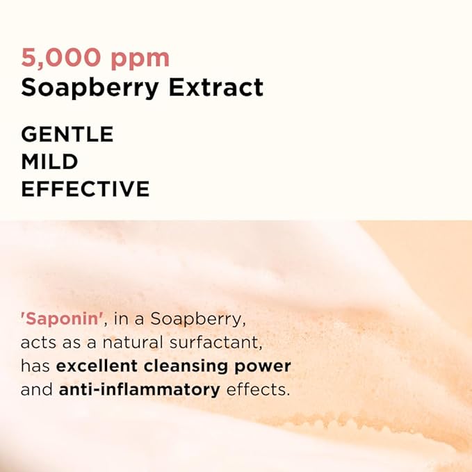 Soapberry Triple Synergy Gel Cleanser with 5 types of Bean, Daily Facial Wash for sensitive skin 8.45 fl.oz, 250ml