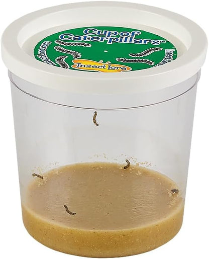Insect Lore Butterfly Garden Kit, Painted Lady Butterfly Kit with Voucher for Live Caterpillars, Butterfly Habitat, STEM Journal & More