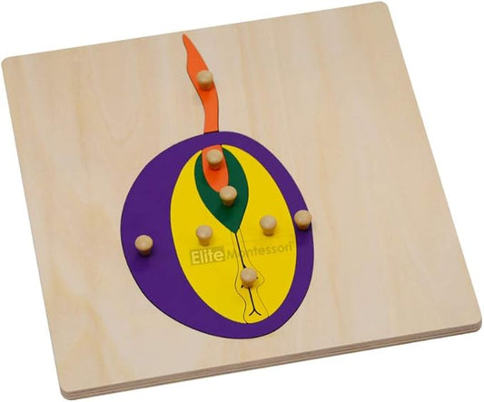 Elite Montessori Seed Puzzle