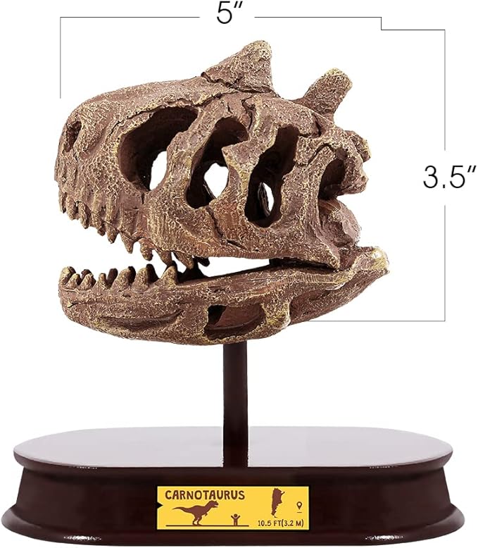 ArtCreativity Dinosaur Excavation Kit for Kids, Carnotaurus Skull Excavating Set with Fossil Digging Tools and Stand, Fun Science Activity Toy, Educational Dinosaur Gift for Boys and Girls