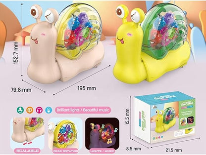 Nenekal Transparent Gear Snail (Ivory)