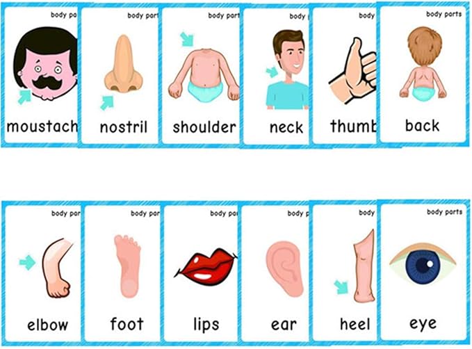Body Parts+Weather Flashcards for Toddlers | Kids Learning Montessori Pocket Cards Toys | Perfect for Pre-K Decorations Background Wall Stickers,Teacher/Autism Therapists Tools
