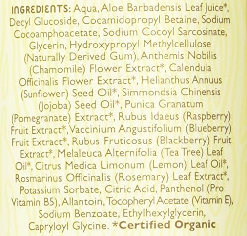 Little Twig Baby Wash, Natural Plant Derived Formula 8.5 fl