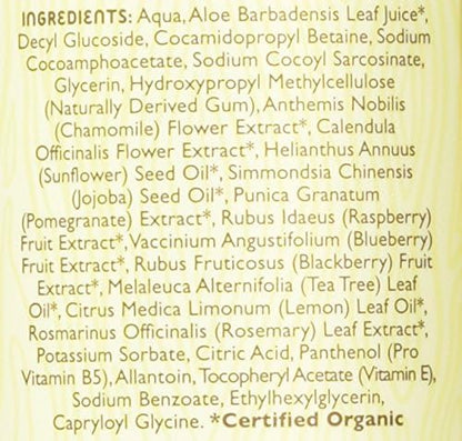Little Twig Baby Wash, Natural Plant Derived Formula 8.5 fl