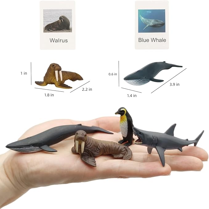 Small Montessori Animal Figures with Flash Cards, Realistic Animal Figurines Toys, Montessori Materials Homeschool Preschool Science Educational Matching Game for Toddler Kids (Sea)