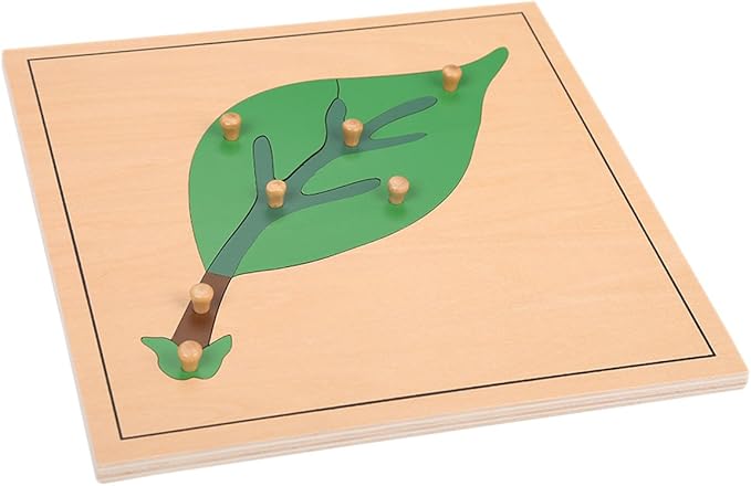 MEYOR Montessori Leaf Puzzle for Early Preschool Education Learning Toy