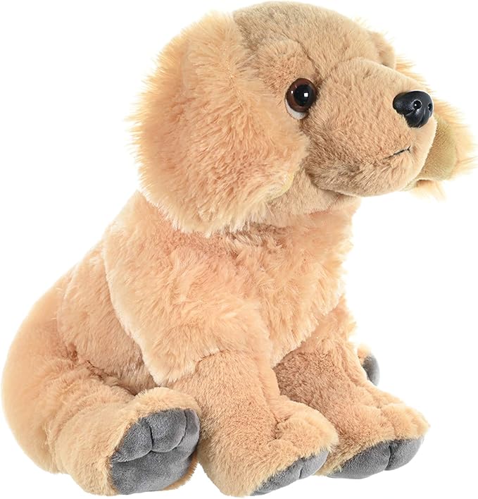 Wild Republic, Golden Retriever Plush, Stuffed Animal, Plush Toy, Gifts Kids, Pet Shop, 12 Inches