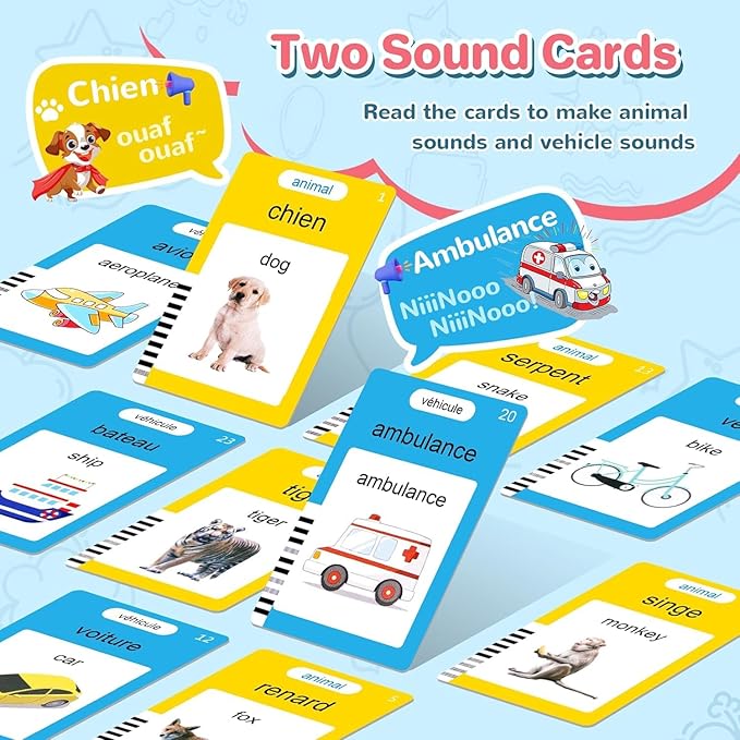 French & English Talking Flash Cards for Toddler, Learning Montessori Toys with 224 Sight Words, Speech Therapy Toys, Children's Sensory Preschool Learning Educational Birthday Gifts