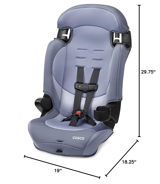 Cosco Kids Finale DX 2-in-1 Booster Car Seat, Forward Facing Toddler Car Seat (30-65 lbs) and Belt Positioning High Back Booster Seat (40-100 lbs), Organic Waves