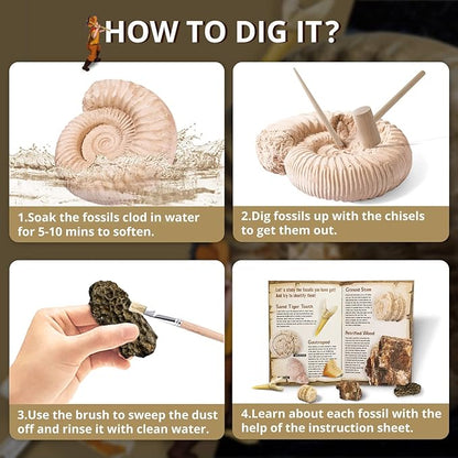 Byncceh Mega Fossil Dig Kit - Excavate 12 Prehistoric Fossils, Shark Teeth, Dinosaur Poop, Fossil Fish, Paleontology Educational STEM Science Toys for Kids Gifts for Girls & Boys