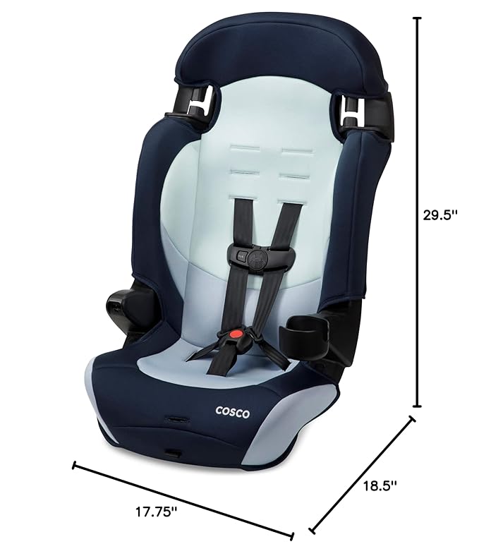 Cosco Kids Finale DX 2-in-1 Booster Car Seat, Forward Facing Toddler Car Seat (30-65 lbs) and Belt Positioning High Back Booster Seat (40-100 lbs), Rainbow