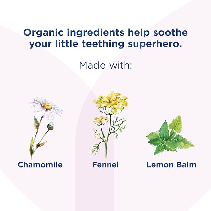 Hyland's Baby - Organic Daytime & Nighttime Soothing Drops Combo 2 oz.