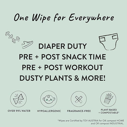 The Honest Company Babe's First Mess Gift Set | Fragrance Free Newborn Essentials 99% Water