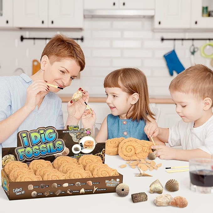 Byncceh Fossil Dig Kit - Educational STEM Science Toys for Kids Ages 6+ - Dig Up 12 Fossils Real & Dinosaur Bones Rocks - Digging Activities Kits - Paleontology, Discovery Gifts for Boys & Girls