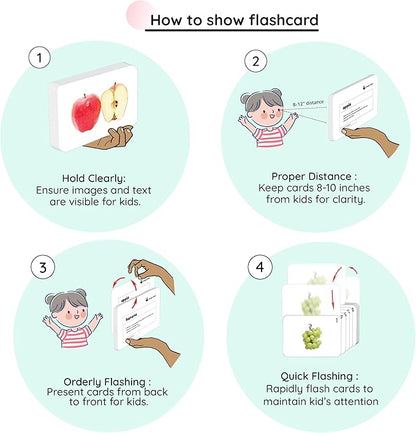 hungry brain Flash Cards for Toddlers, 24 Sea Creatures Flashcards, Double-Sided, Montessori, Educational, Kindergarten - Preschool Learning Activities, Gifts for Kids, 1, 2, 3, 4 Years Babies