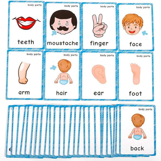 Body Parts+Weather Flashcards for Toddlers | Kids Learning Montessori Pocket Cards Toys | Perfect for Pre-K Decorations Background Wall Stickers,Teacher/Autism Therapists Tools