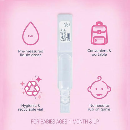 Boiron Camilia Teething Drops for Daytime and Nighttime Relief of 60 Count