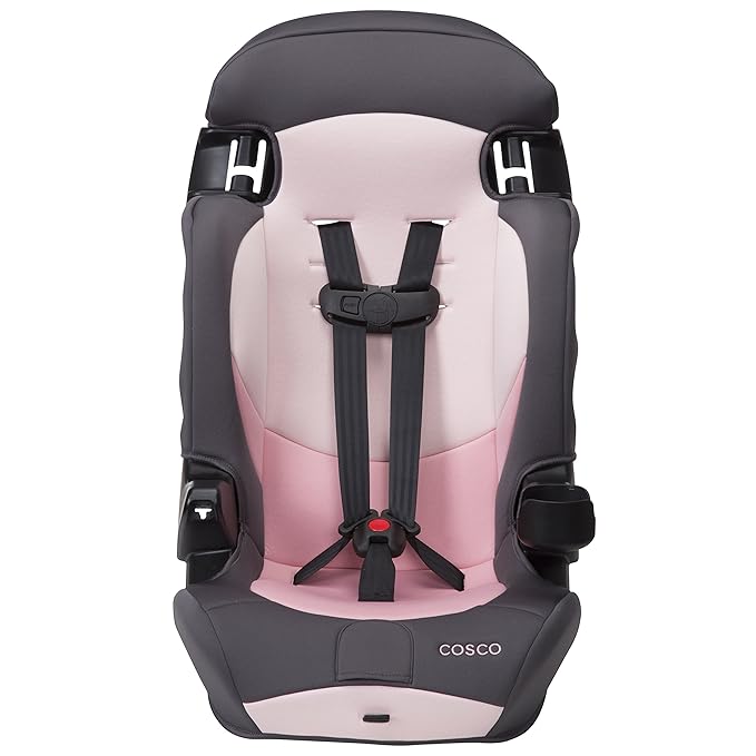 Cosco Kids Finale DX 2-in-1 Booster Car Seat, Forward Facing Toddler Car Seat (30-65 lbs) and Belt Positioning High Back Booster Seat (40-100 lbs), Sweetberry