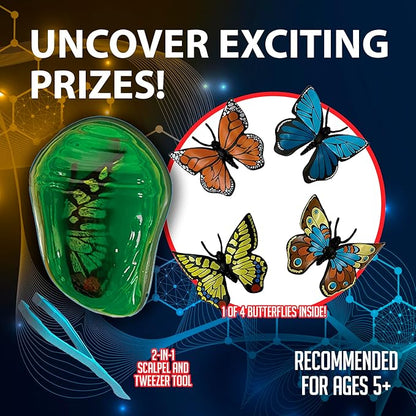 Top Secret Toys Discover-It Dissection Kit for Kids, Synthetic Butterfly Metamorphosis Science Lab Kit, STEM Science Toys for Kids Ages 5 and Above