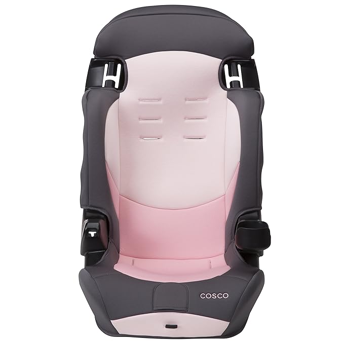 Cosco Kids Finale DX 2-in-1 Booster Car Seat, Forward Facing Toddler Car Seat (30-65 lbs) and Belt Positioning High Back Booster Seat (40-100 lbs), Sweetberry