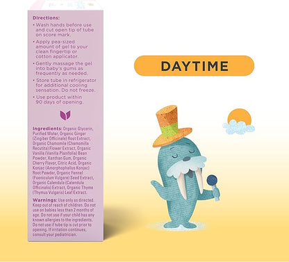 Hyland's Baby - Organic Day/Night Soothing Gel Combo Pack, Natural Relief of Oral Discomfort 2 Months 1.06 Ounce (2 Tubes 0.53 oz.)