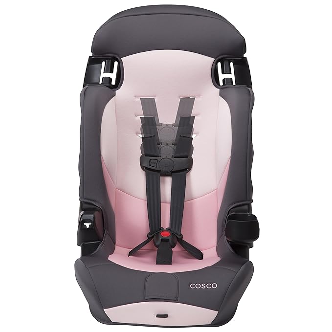 Cosco Kids Finale DX 2-in-1 Booster Car Seat, Forward Facing Toddler Car Seat (30-65 lbs) and Belt Positioning High Back Booster Seat (40-100 lbs), Sweetberry