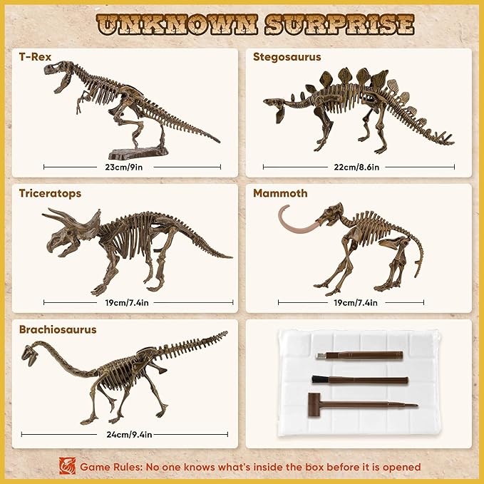 VIBIRIT Dig Up Dinosaurs Skeleton Set,Dinosaur Digging Fossil Kit Model Toys Educational Realistic Toys for Kids,Boys,Girls