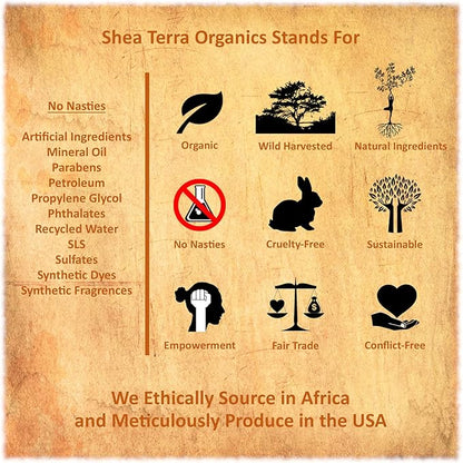 Shea Terra Organics Mama and Baby Collection | Bananas & Monkey Bread Baby Butter 6oz