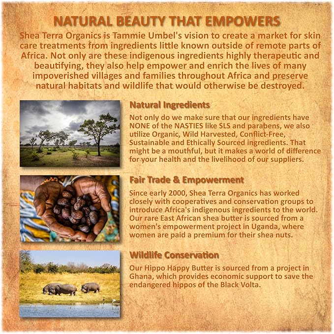 Shea Terra Organics Mama and Baby Collection | Bananas & Monkey Bread Baby Oil 8oz